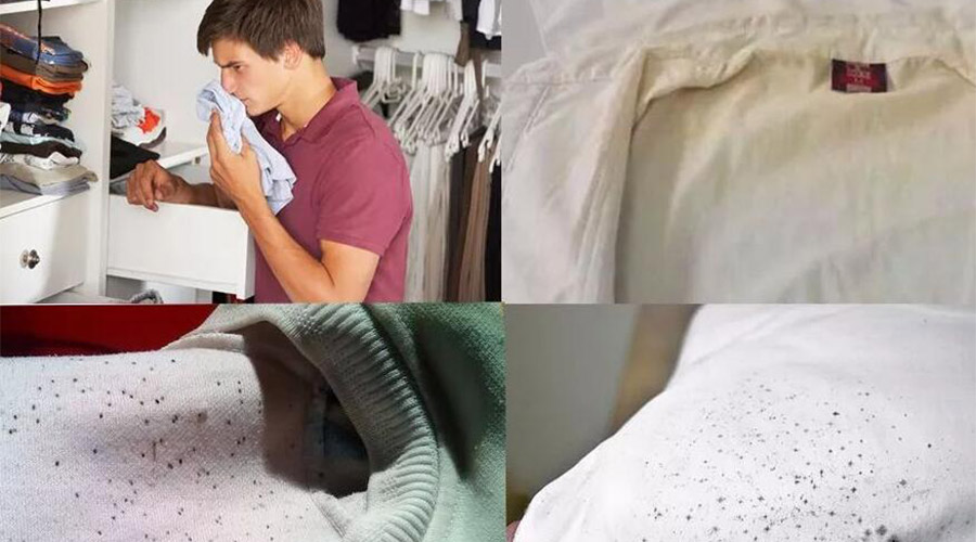 衣服護理小常識：潮濕天衣物有霉味不宜穿  該怎么辦？