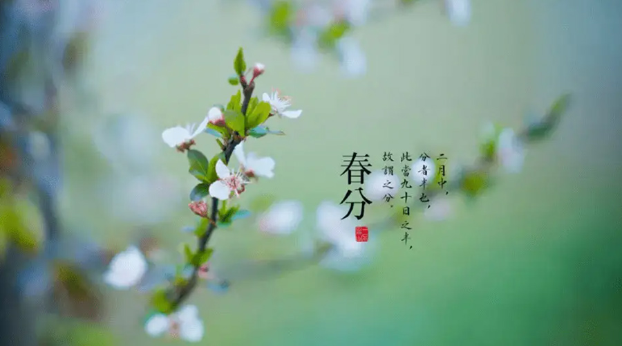 春分雨水多易生菌！金環(huán)電器提醒你衣物要注意處理