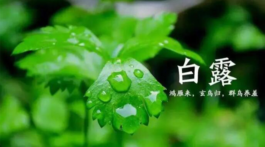 白露時節(jié)！金環(huán)電器提醒大家要注意的事項