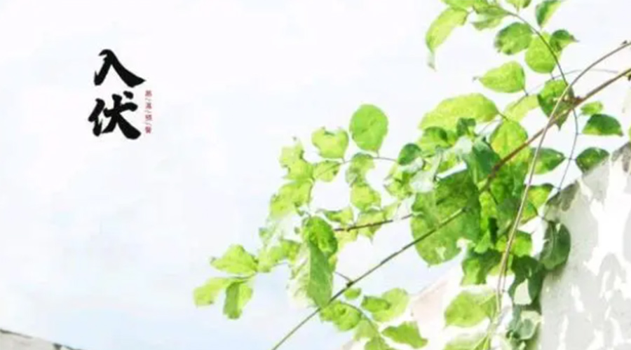 初伏時節(jié)！金環(huán)電器提醒大家要注意的事項