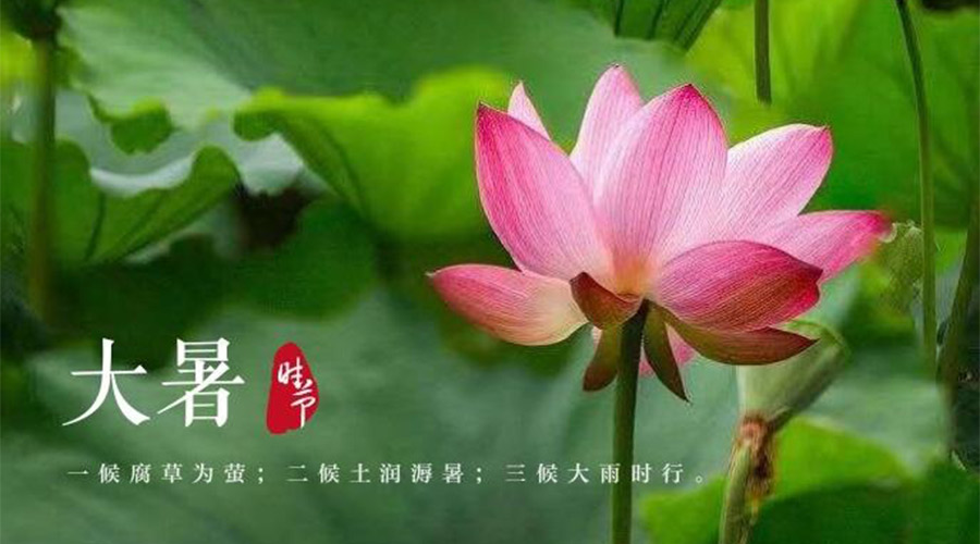 大暑時(shí)節(jié)！金環(huán)電器提醒大家要注意的事項(xiàng)