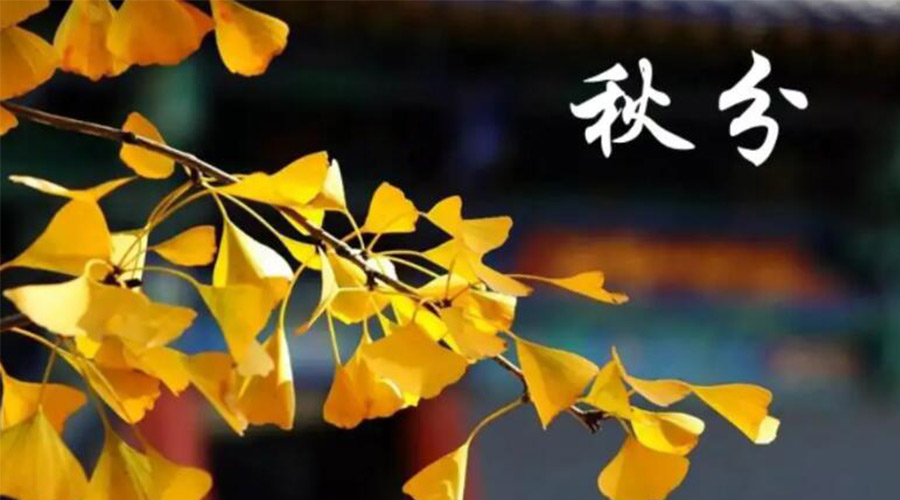 秋分時(shí)節(jié)！金環(huán)電器提醒大家要注意的事項(xiàng)